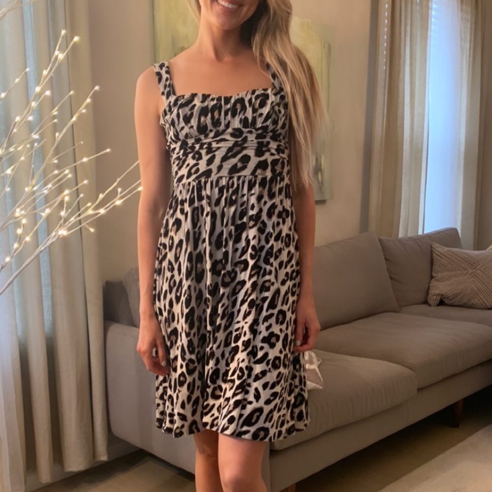 BB Dakota Dress
